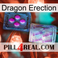 Dragon Erection 37